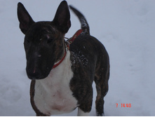 ������ �������� 07.01.13 054.JPG