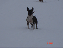 ������ �������� 07.01.13 056.JPG