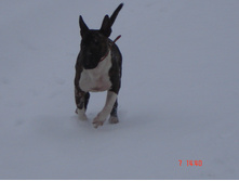 ������ �������� 07.01.13 057.JPG