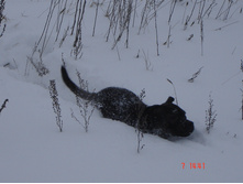 ������ �������� 07.01.13 059.JPG