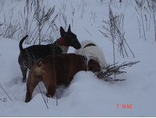 ������ �������� 07.01.13 060.JPG