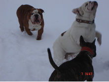 ������ �������� 07.01.13 062.JPG