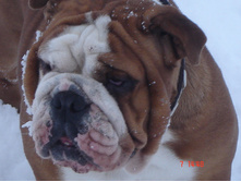 ������ �������� 07.01.13 067.JPG