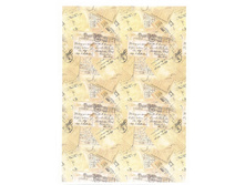 ���� ���� ����.jpg