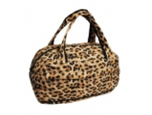 show_image_in_imgtag (71).jpg