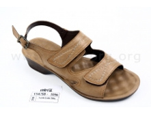 114258-205 ��������� ������� �����. �� 16 �.(36-40)�.  600�..jpg