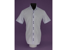 ������� 80-5-m22n-p05.JPG