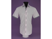 ������� 81-4-m22f-p04.JPG