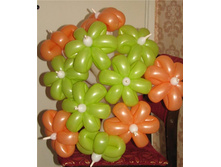 �����-���������