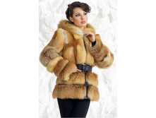 30000 ���.  952020FOXR30000.JPG
