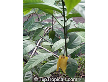 �������������