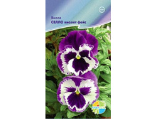 ����� ����� ������ ����_17.50+%