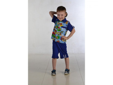 ������ �����  0070 ms