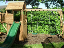 Balcony Fort Searcher2.jpg