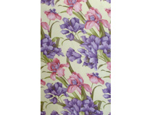 ����� HYA922 C1.jpg