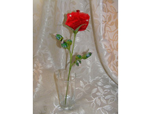 ���� ����