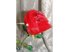 ���� ����