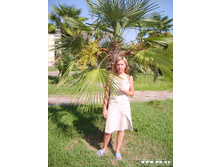 ���� � �������