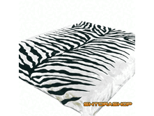 ����� �����.