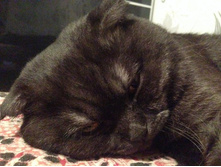 2014-01-11 21.04.49.jpg