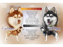 ������ � �����.jpg