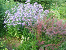 ���. ������������ �������*