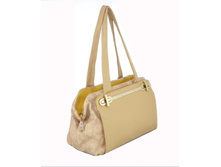 39214 apricot, 1190���.jpg