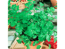 �������� �������� 10,00 ���..jpeg