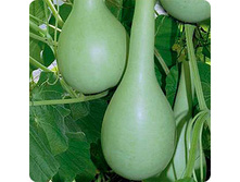 ��������� ������������  9,50 ���..jpeg