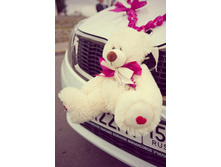 ����� �� ������� ��������� - ������ 500 ���.