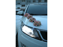 �������� (4��) � �����-������� ����� - ������ 500 ���.