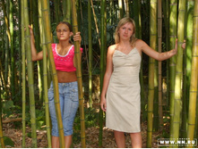 ���������� ����