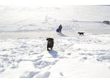 ������ �������.JPG