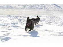 ��� �����.JPG