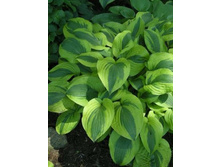 ��� �����(No3-8)