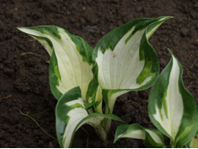 ���� ��� ���(No3-7, No4)