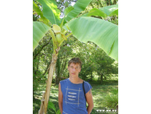 � � �������