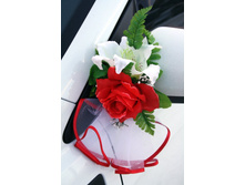 ���������� � ������-����� ����� (2��.) - ������ 250 ���.