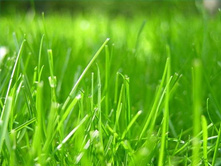 �������� ������������ 32,50 ���..jpg