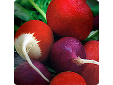 ����� ������� ������� ����� 7,60 ���..jpeg