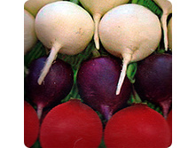 ����� �������� ��������  7,60 ���..jpeg