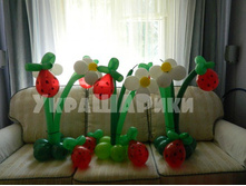 250���. � ������� ������ �������.