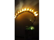 2014-01-30 22.18.41.jpg