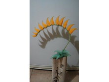 ���������. � �������