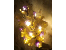 2014-02-02 17.51.44-1.jpg