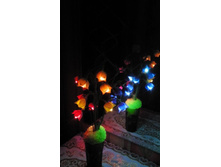 2014-02-03 16.23.05.jpg