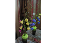 ������������