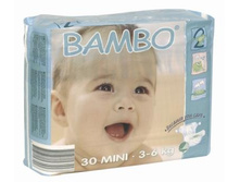 Bambo Mini.jpg