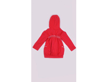 ��������� ���. M493.jpg