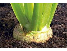 ������ �������� ���  3,40 ���..jpg